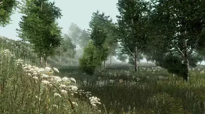 Birch forest pack for Unity Low-poly 3D model