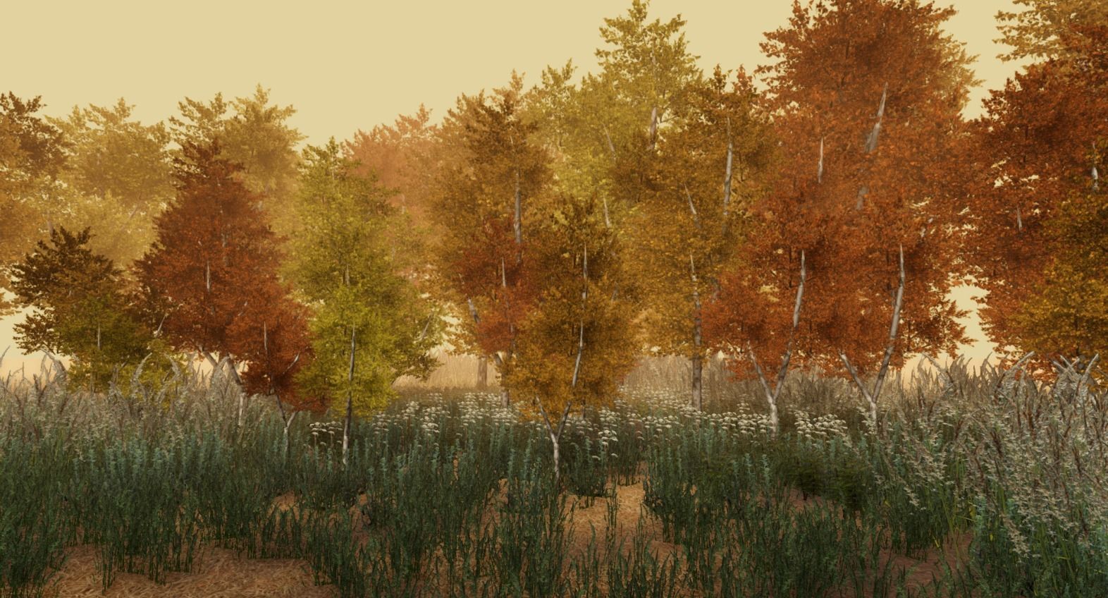 Birch forest pack for Unity Low-poly 3D model_5