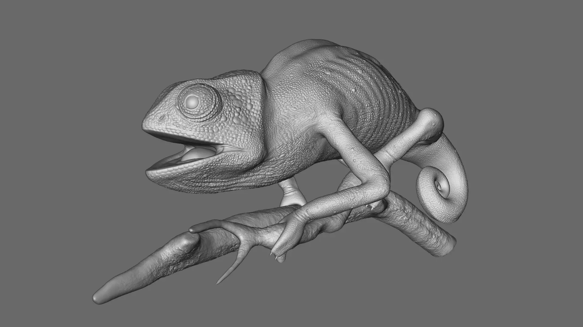 Chameleon 3D model