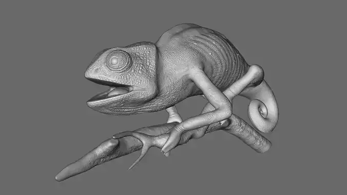Chameleon 3D model