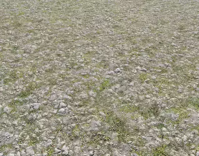Rocky grass Terrain 3 PBR
