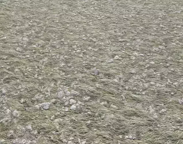 Rocky field grass Terrain 5 PBR