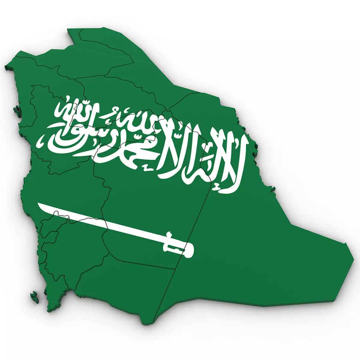 3D Political Map of Saudi Arabia 3D model_0