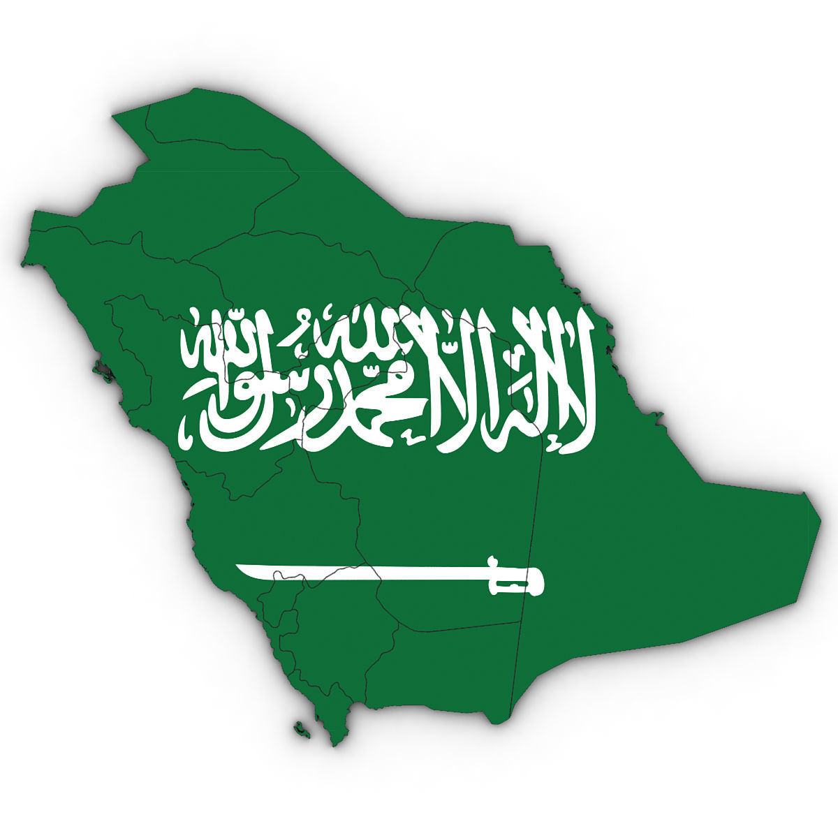 3D Political Map of Saudi Arabia 3D model_8