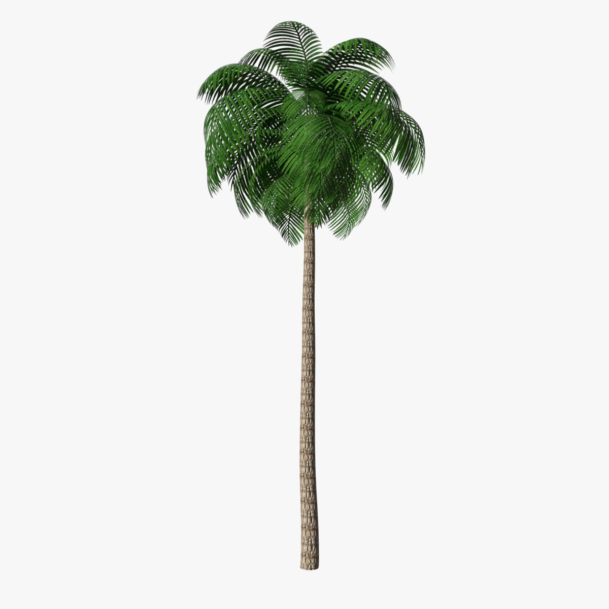 Palm Tree 03 Low Poly Low-poly 3D model_3