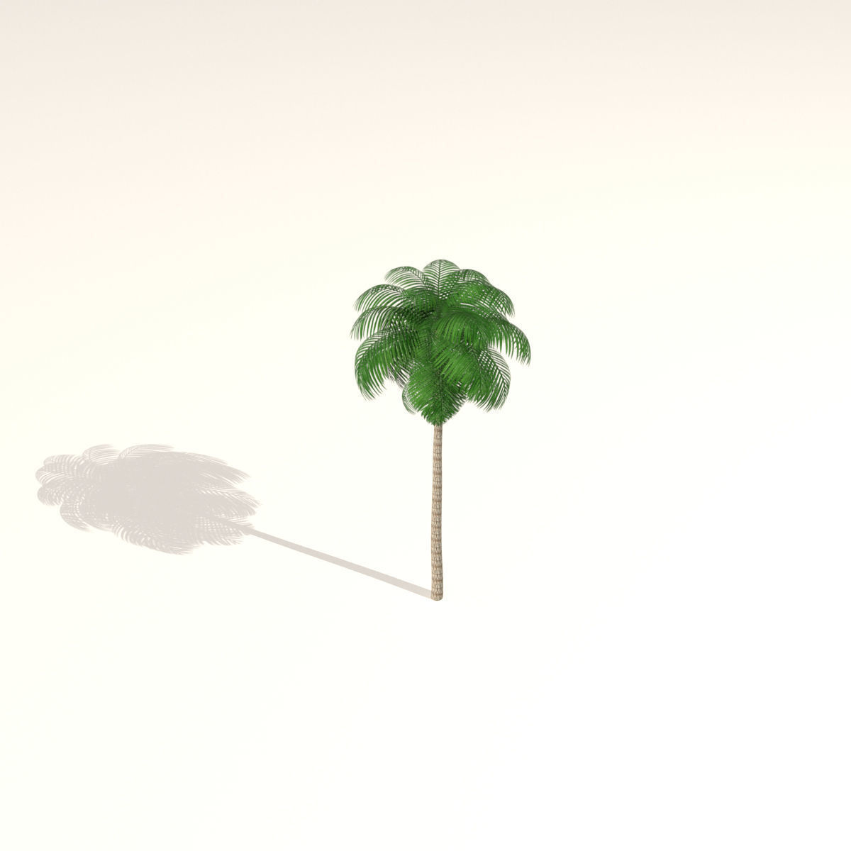 Palm Tree 03 Low Poly Low-poly 3D model_4