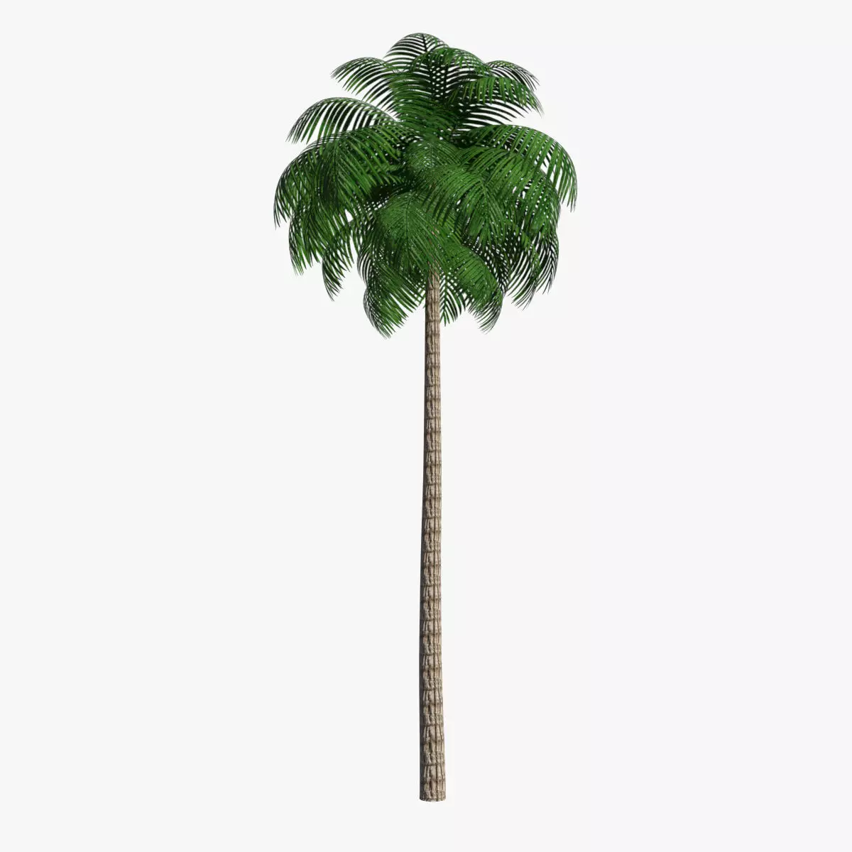 Palm Tree 03 Low Poly Low-poly 3D model_0