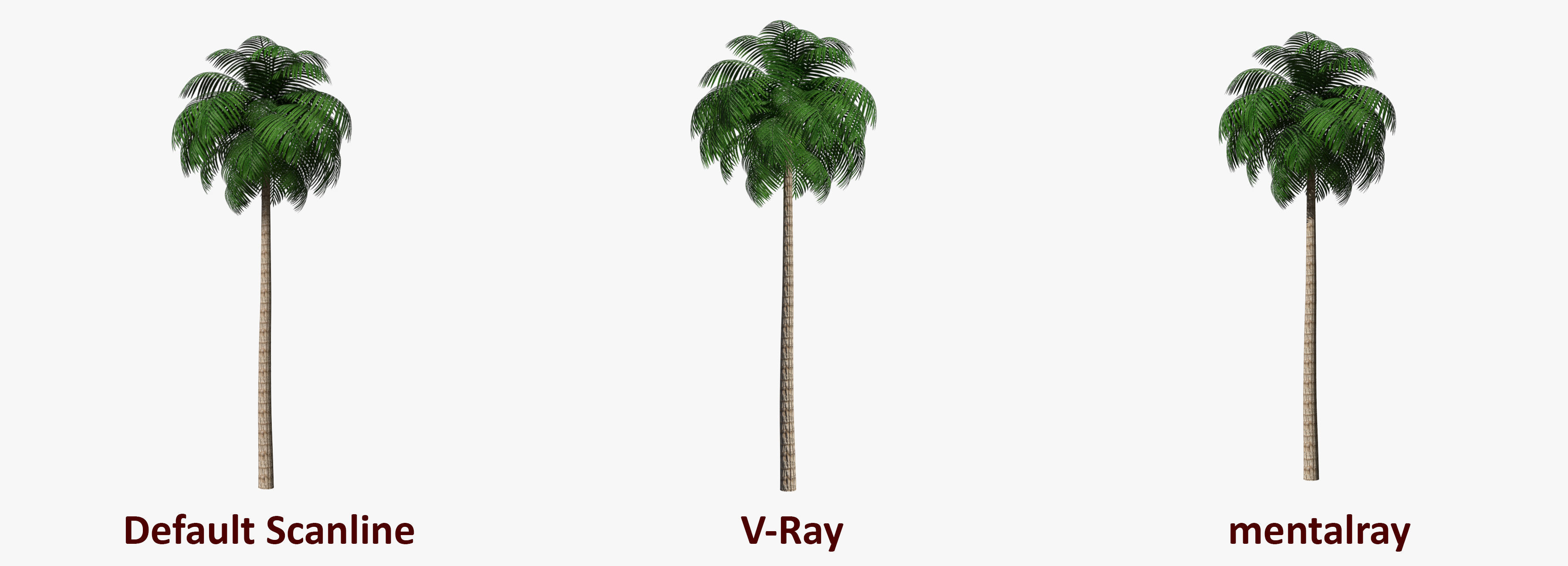 Palm Tree 03 Low Poly Low-poly 3D model_1