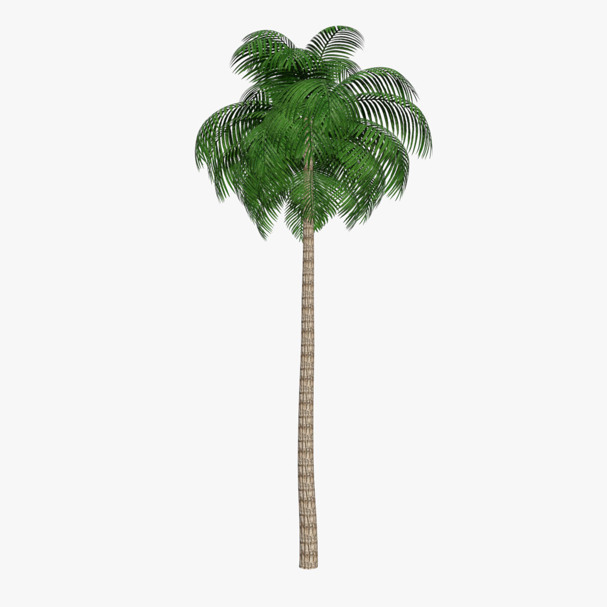 Palm Tree 03 Low Poly Low-poly 3D model_2