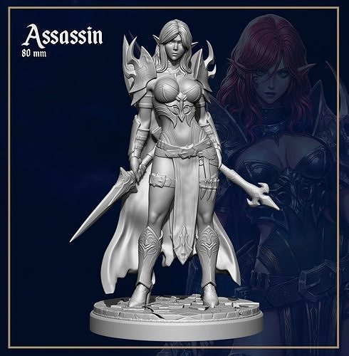Elf Assassin 3D print model