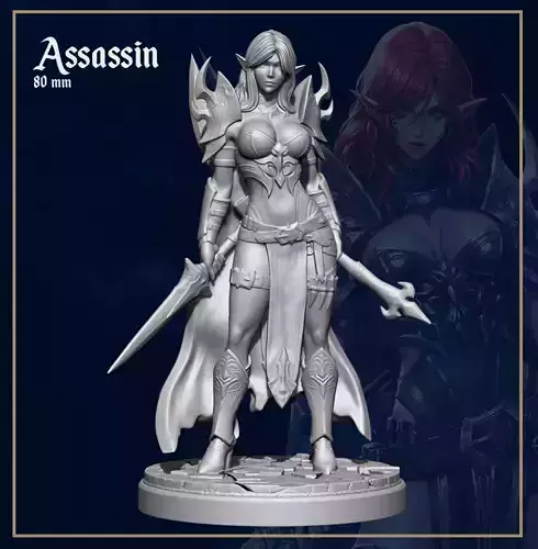Elf Assassin