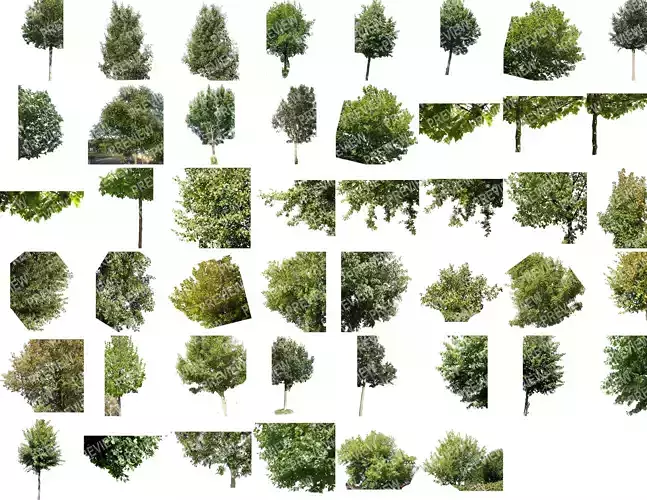 46 Cutout Foreground - Fill Trees Collection