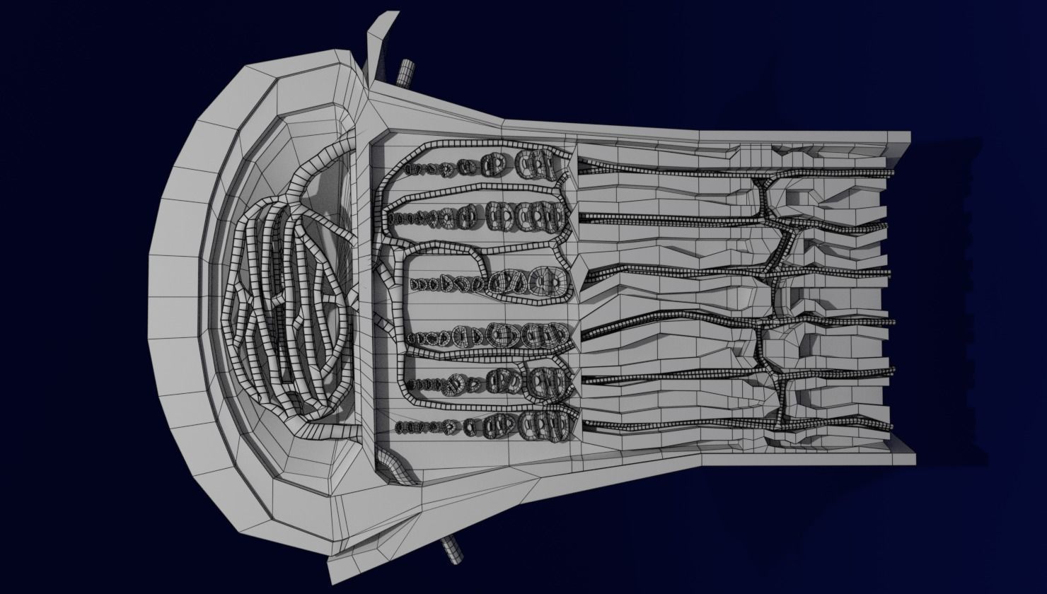 Bone epiphysis ossification detailed labelled anatomy microscopy 3D model_21