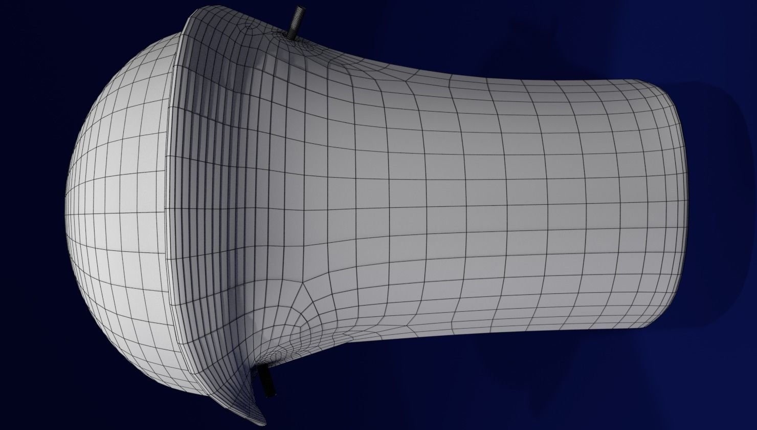Bone epiphysis ossification detailed labelled anatomy microscopy 3D model_23