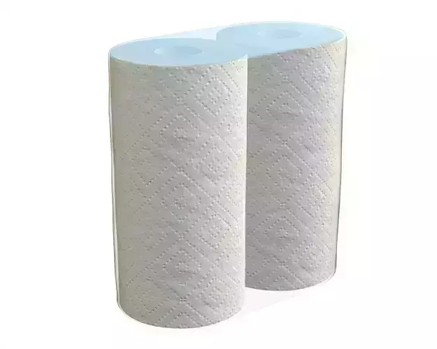 Paper towel 2 pack small