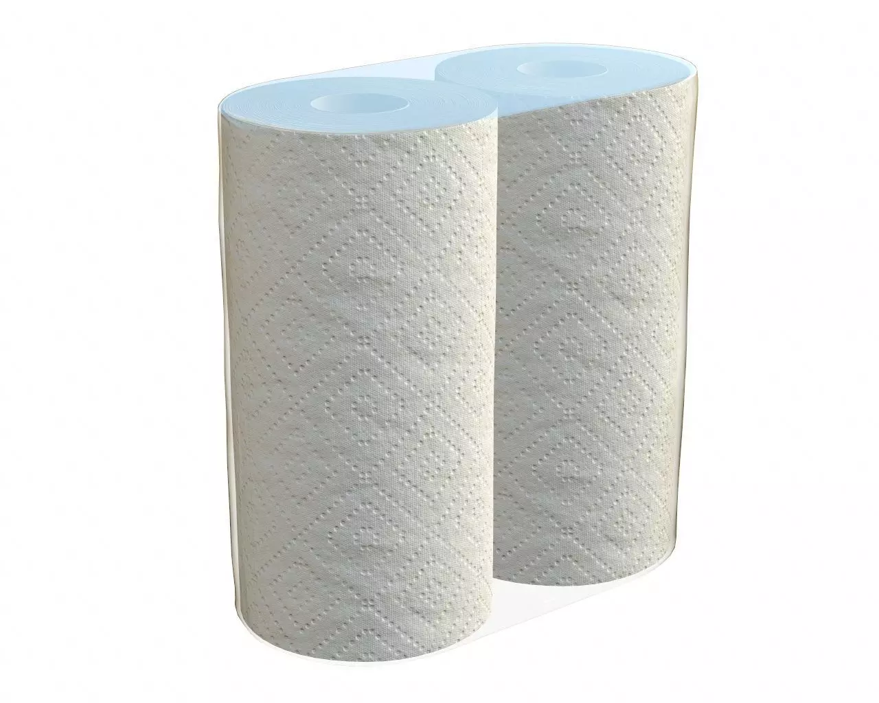 Paper towel 2 pack small 3D model_0