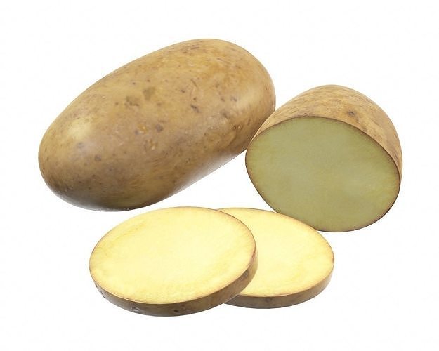 Potato whole half and slices 3D model
