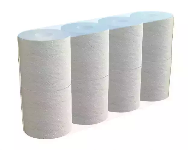Toilet paper 8 pack large