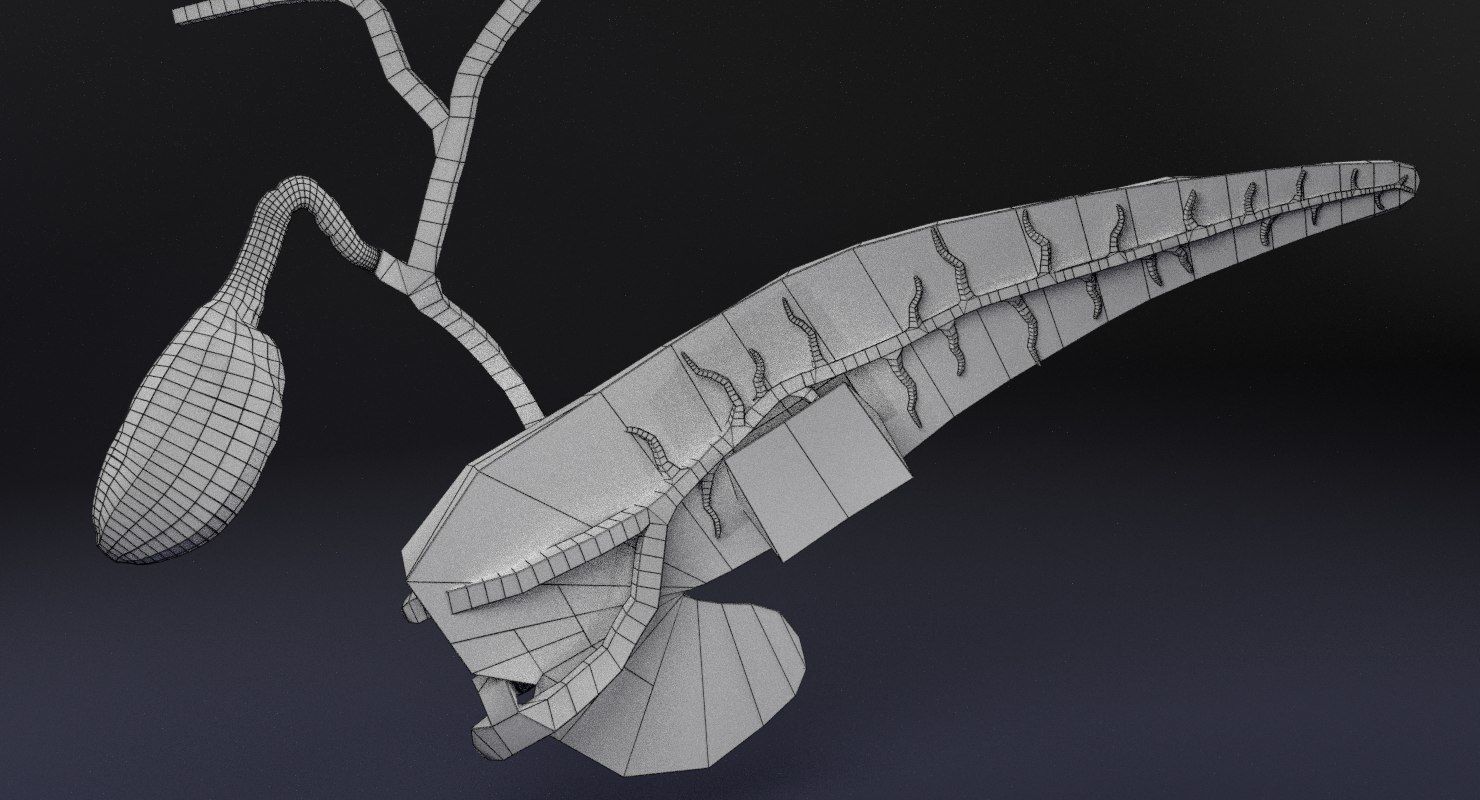 Diabetes pancreas anatomy microscopy islet beta insulin 3D model_29