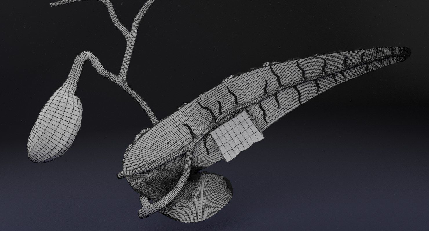 Diabetes pancreas anatomy microscopy islet beta insulin 3D model_30