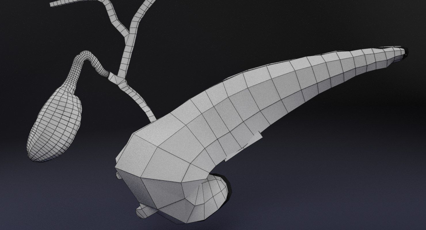 Diabetes pancreas anatomy microscopy islet beta insulin 3D model_27
