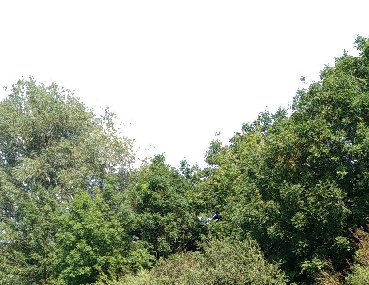 3 Cutout Background Images Texture_1