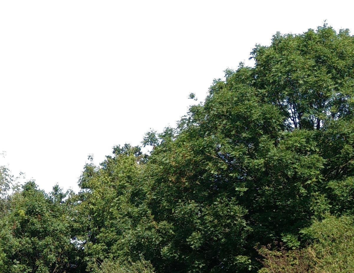 3 Cutout Background Images Texture_2