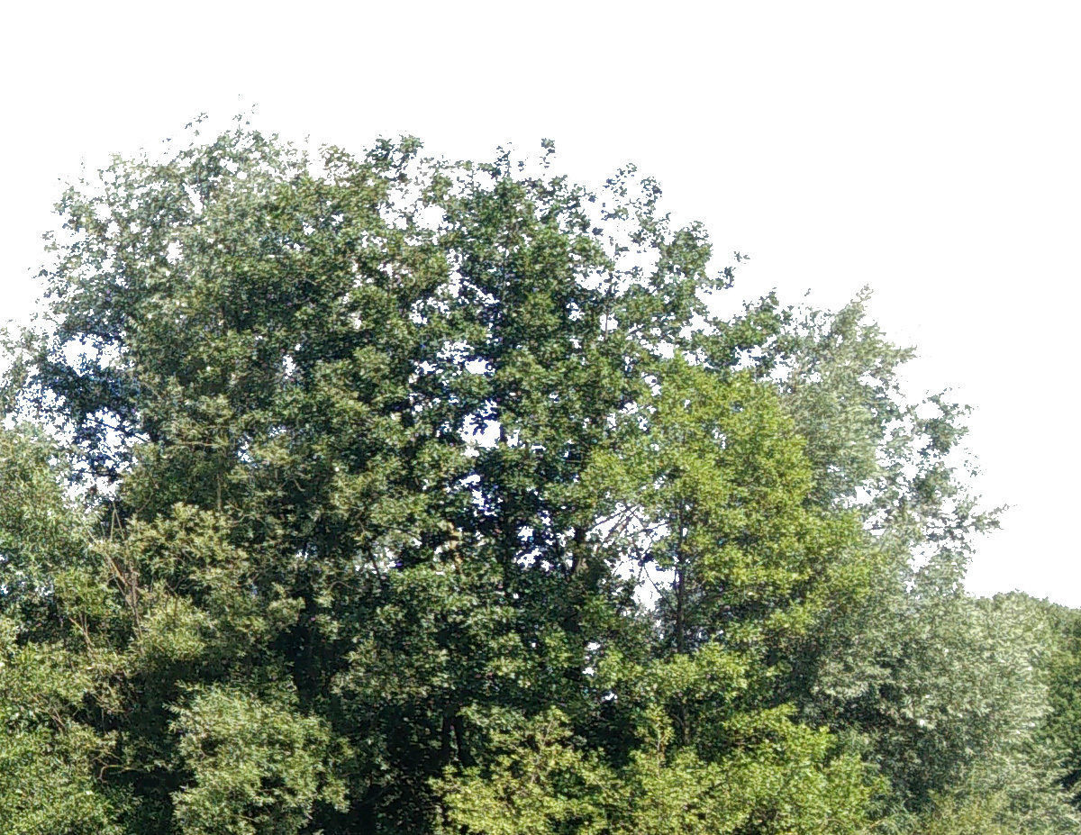 3 Cutout Background Images Texture_3