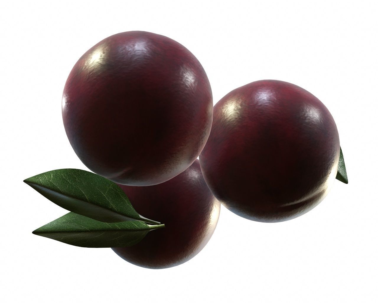 Plums with leaves 3D model_4