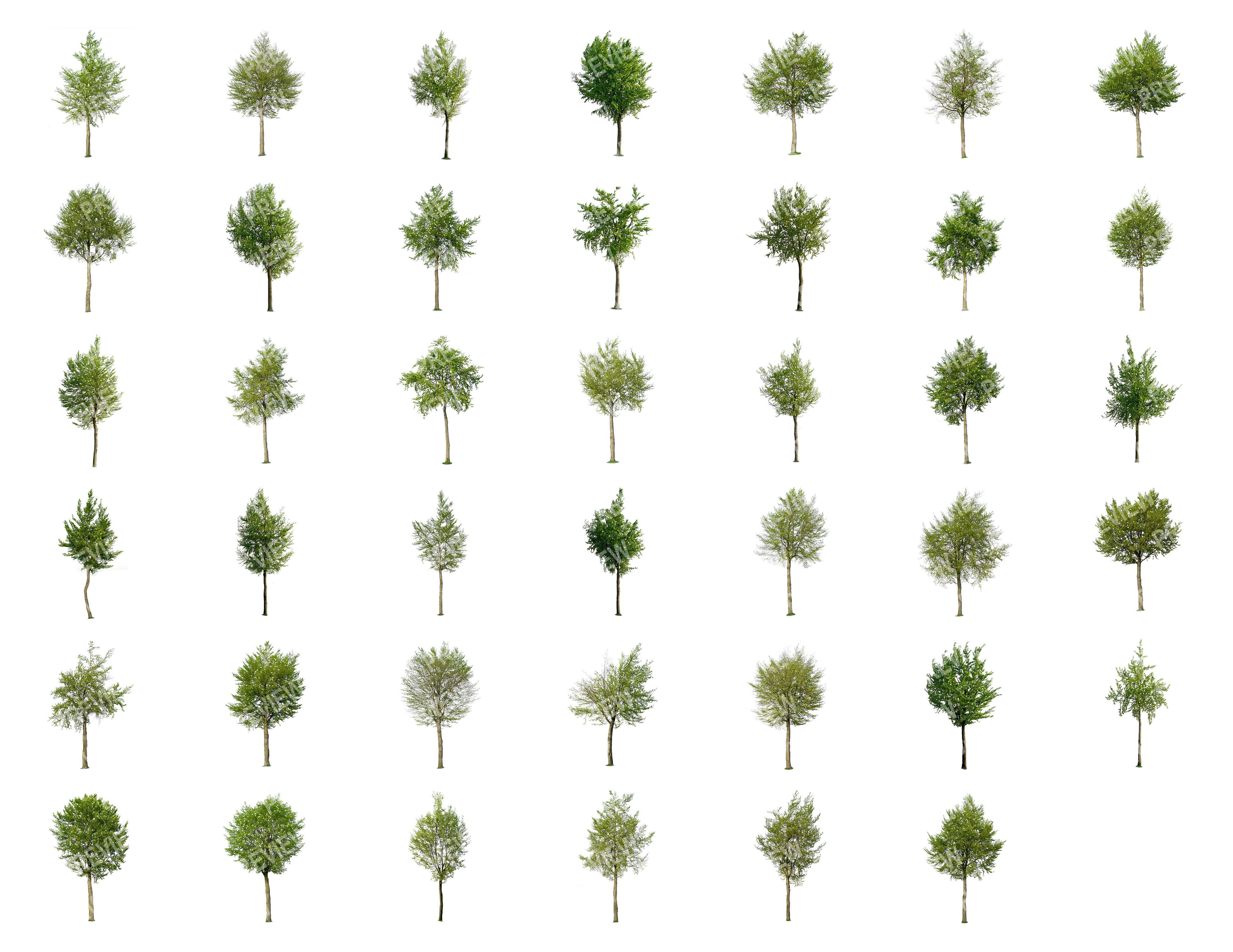 83 Cutout Trees Collection Texture_1