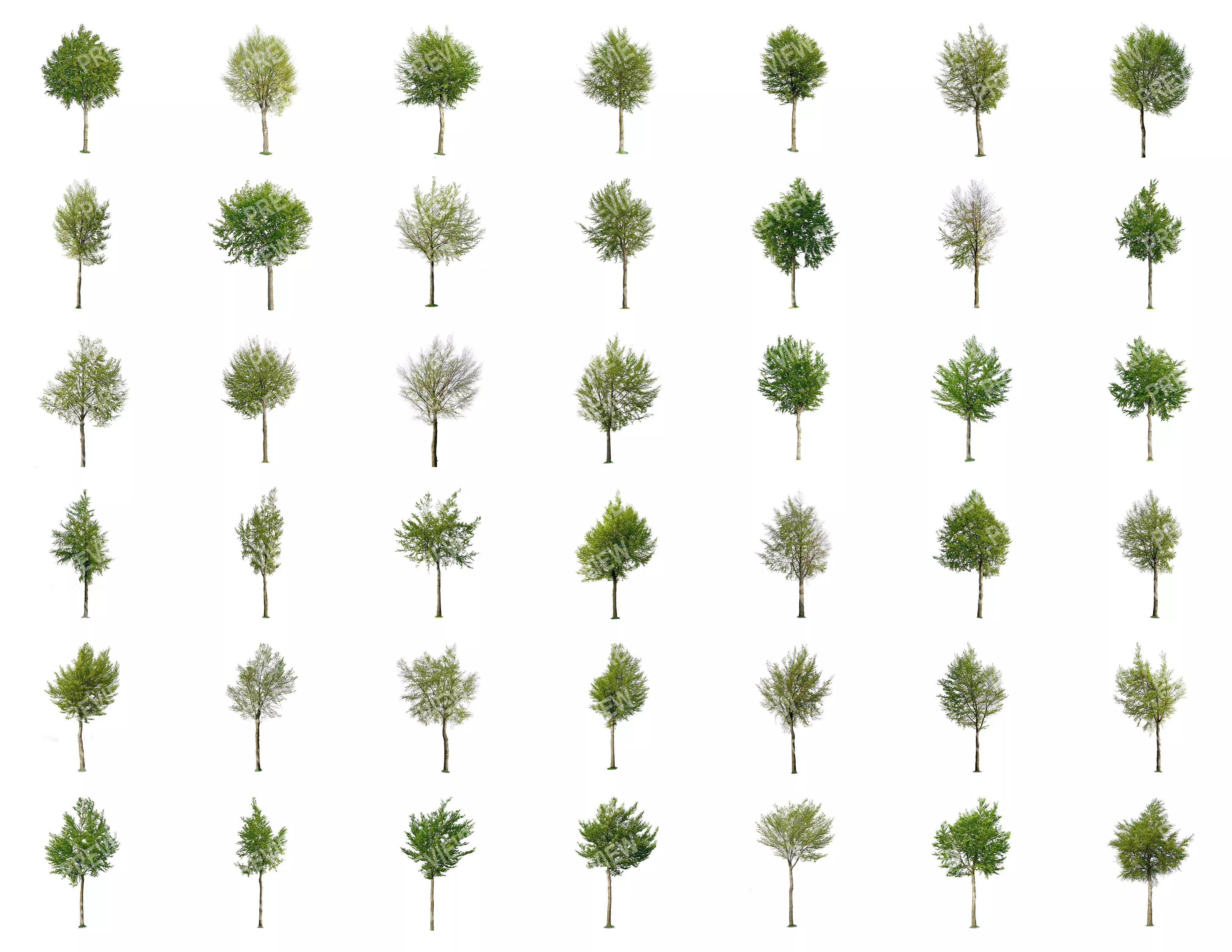 83 Cutout Trees Collection Texture_0