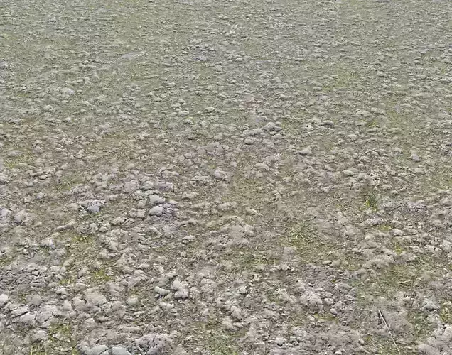 Rocky grass Terrain 1 PBR