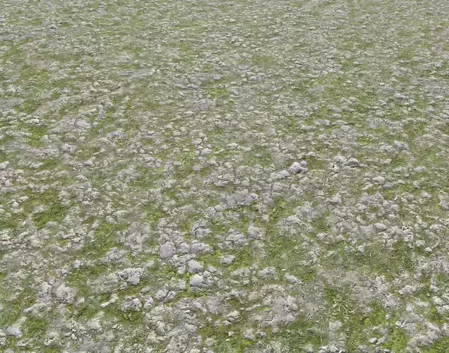 Rocky grass Terrain 2 PBR