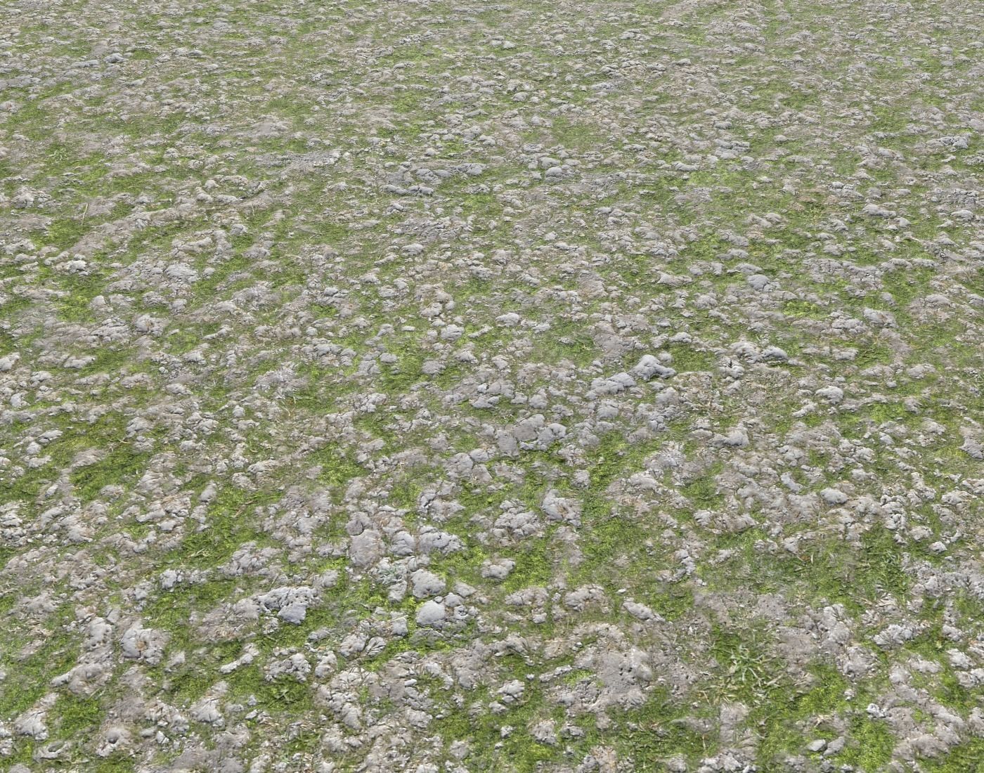Rocky grass Terrain 2 PBR Texture | CGTrader