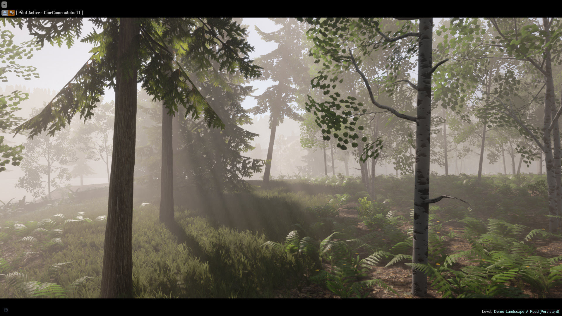 Realistic Forest Pack - UE4 3D model_10