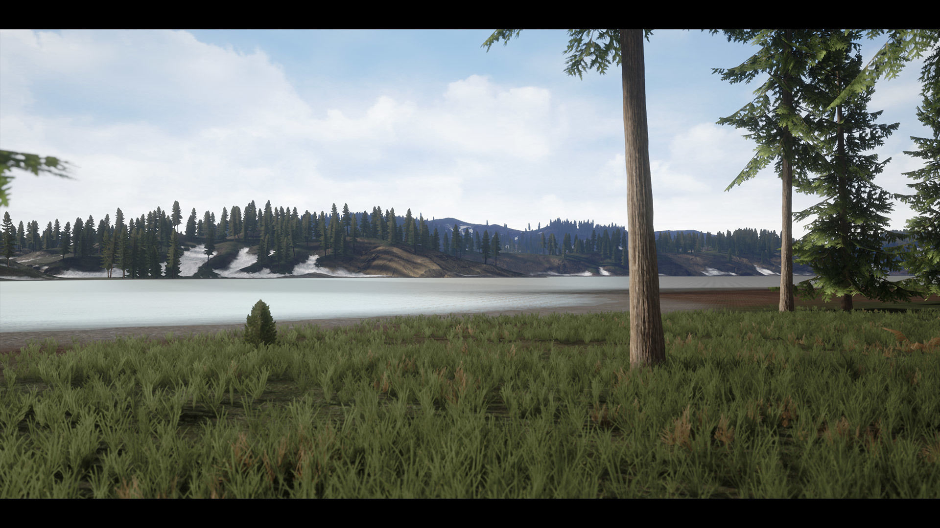 Realistic Forest Pack - UE4 3D model_15