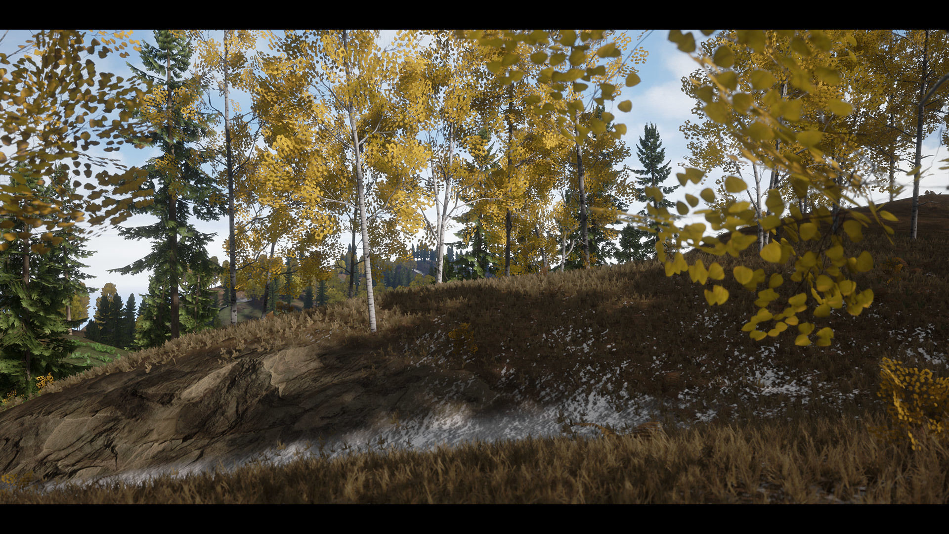 Realistic Forest Pack - UE4 3D model_13