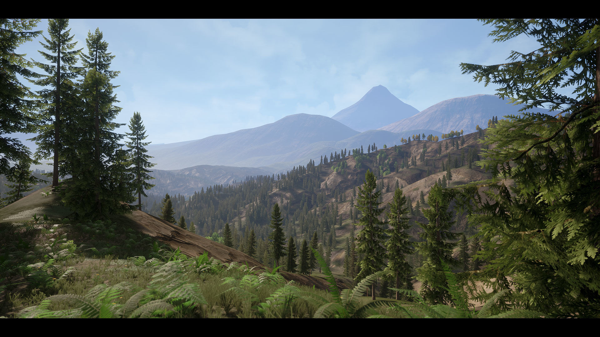 Realistic Forest Pack - UE4 3D model_5