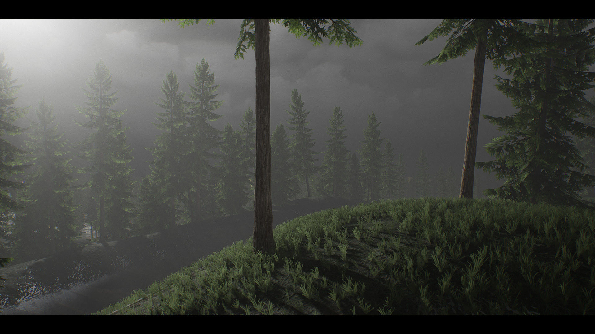Realistic Forest Pack - UE4 3D model_16