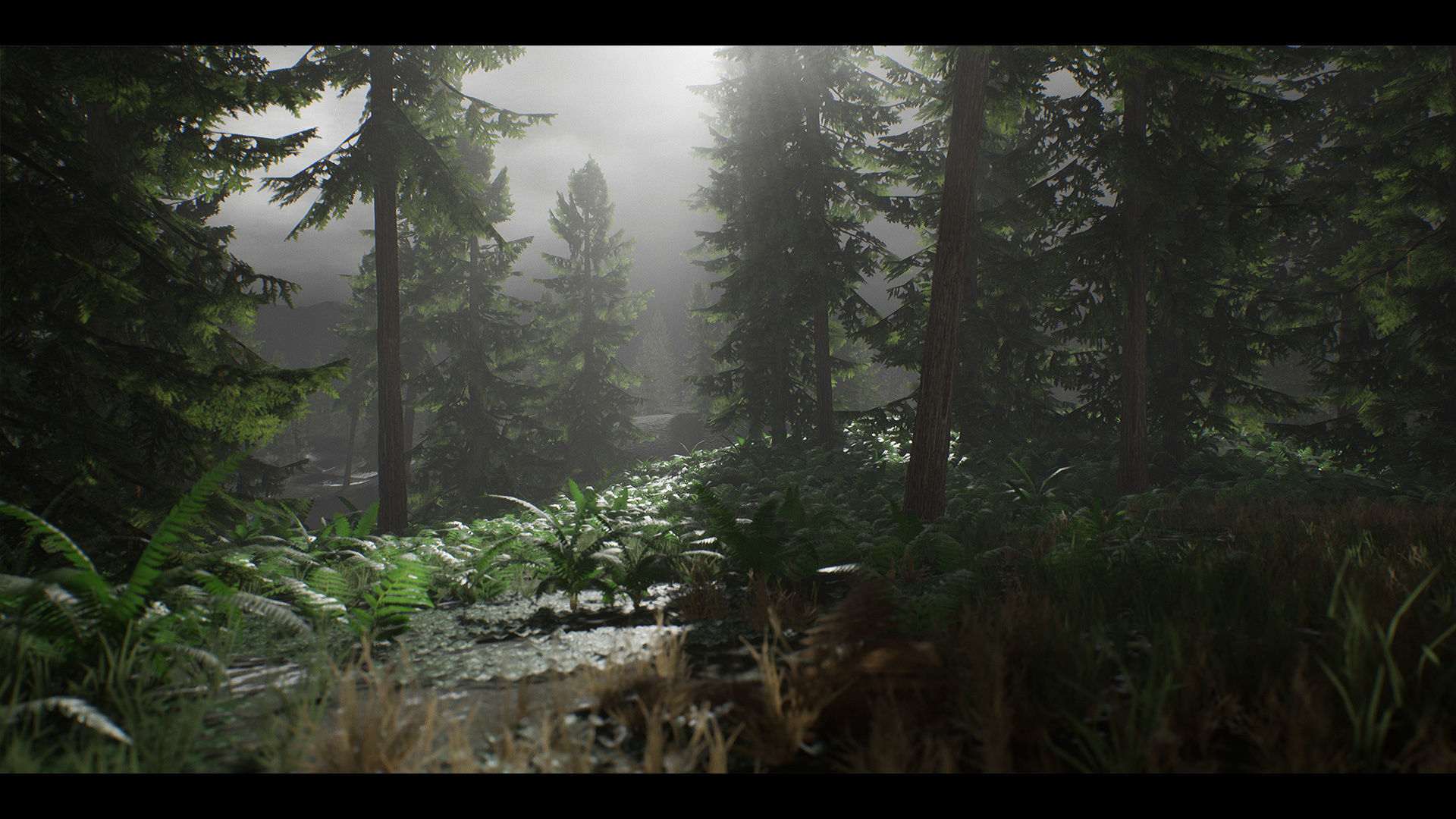Realistic Forest Pack - UE4 3D model_4