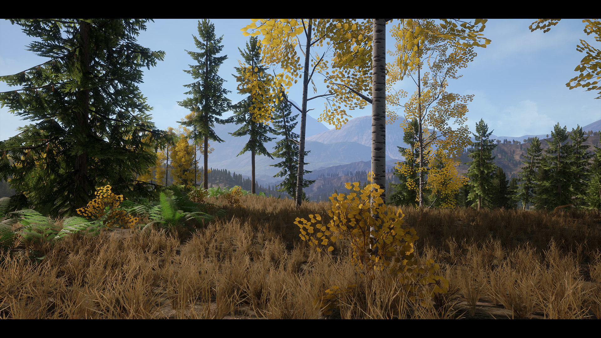Realistic Forest Pack - UE4 3D model_2