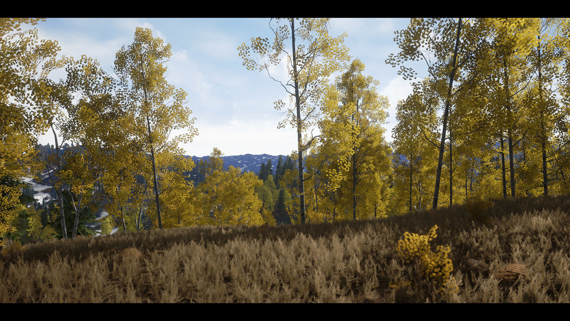 Realistic Forest Pack - UE4 3D model_7