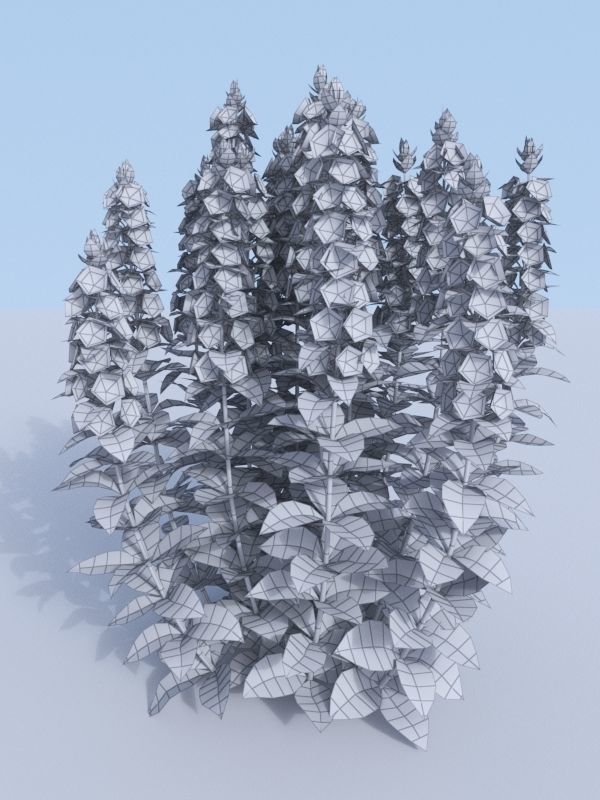 Dotted loosestrife Lysimachia punctata 3D model_11