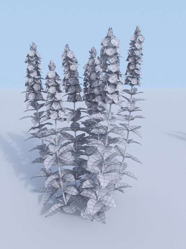 Dotted loosestrife Lysimachia punctata 3D model_5