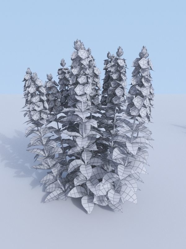 Dotted loosestrife Lysimachia punctata 3D model_9