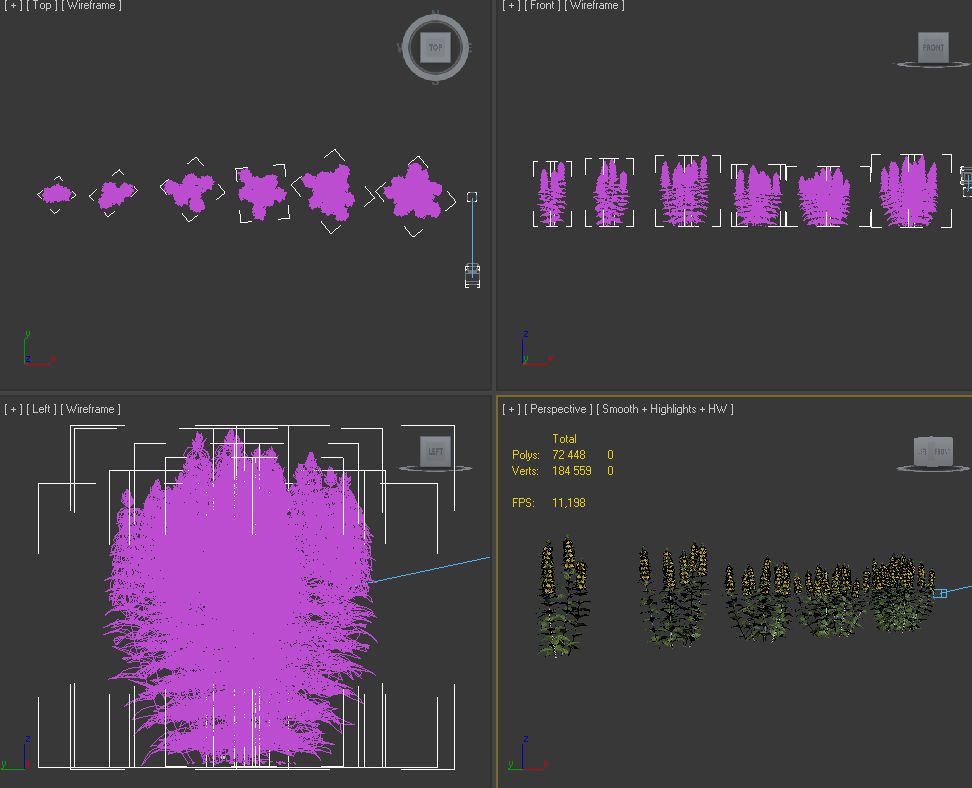 Dotted loosestrife Lysimachia punctata 3D model_12