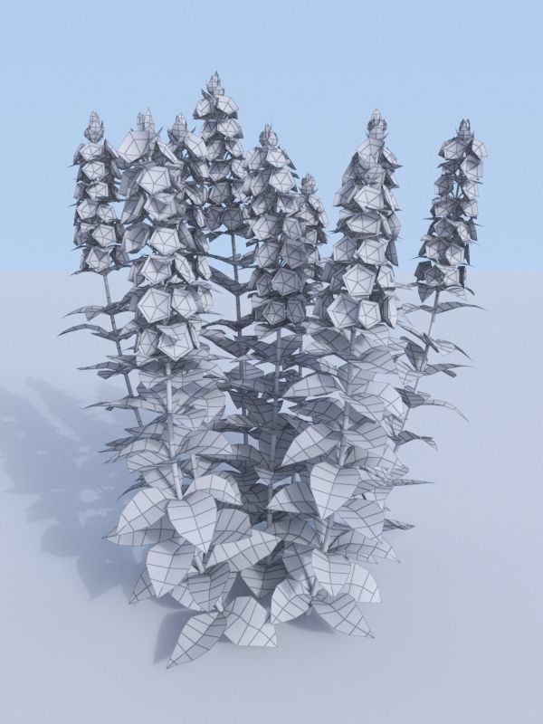 Dotted loosestrife Lysimachia punctata 3D model_7