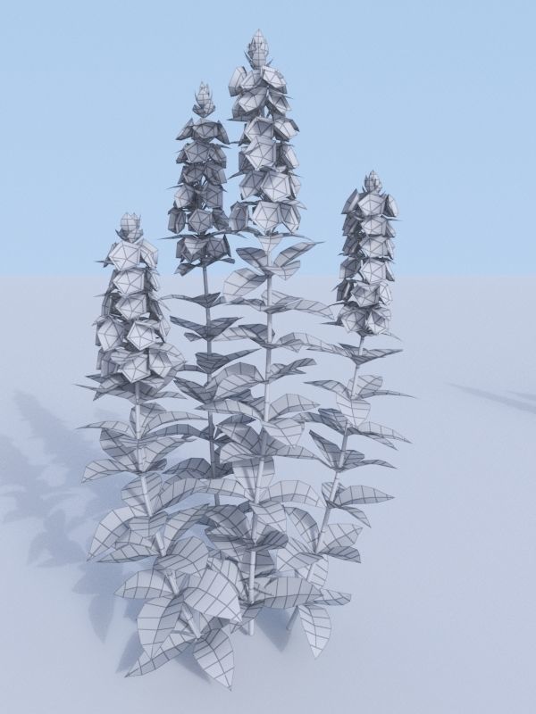 Dotted loosestrife Lysimachia punctata 3D model_3