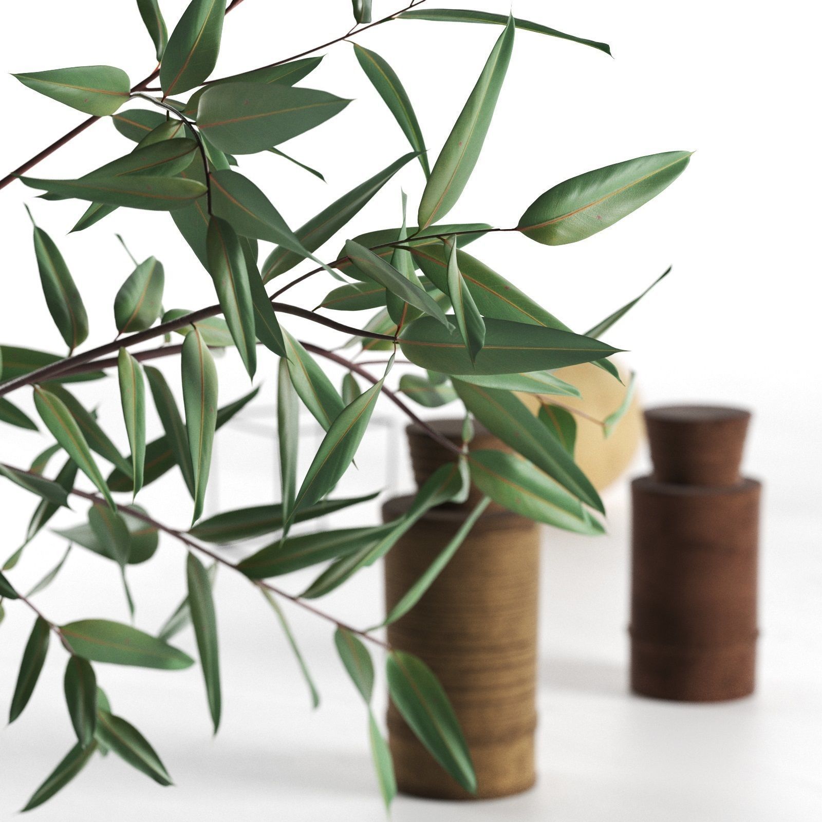 Eucalyptus with Decorative Objects 3D model_1