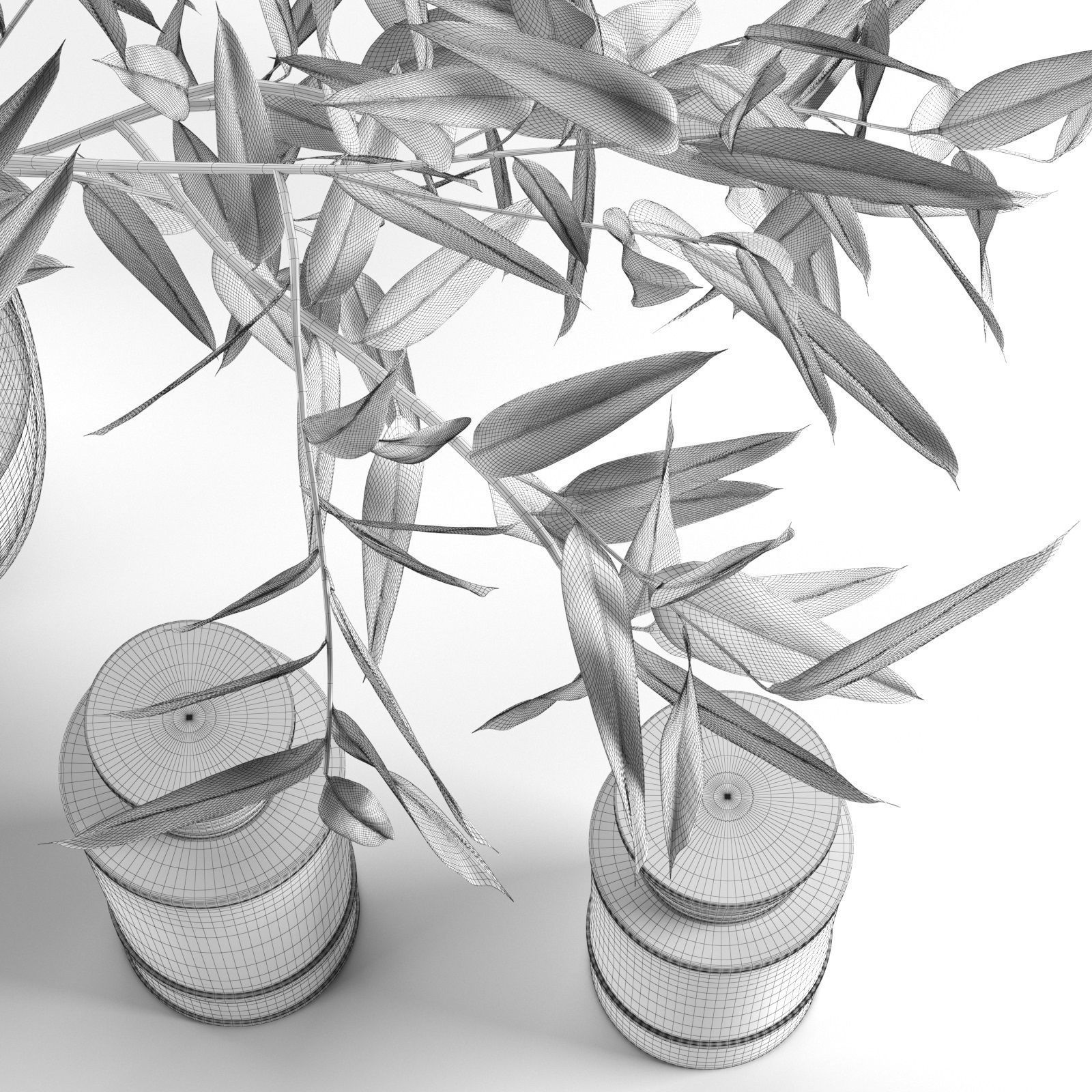 Eucalyptus with Decorative Objects 3D model_4